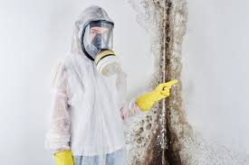 Why You Should Choose Our Mold Remediation Services in Lodi, NJ